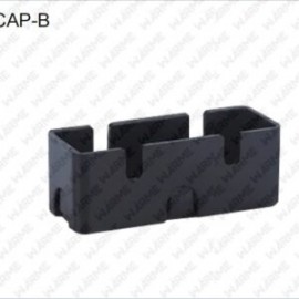 CAP-B